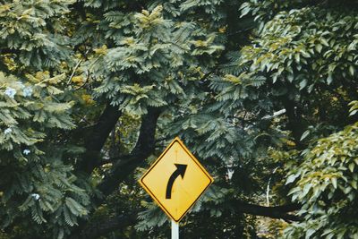 Low angle view of road sign