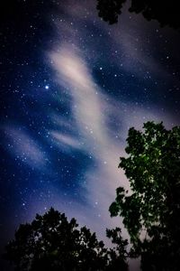 Low angle view of silhouette trees against sky at night