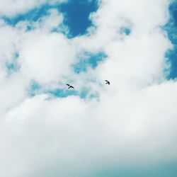 Low angle view of birds flying in sky