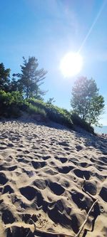 Scenic view of beach against sky on sunny day