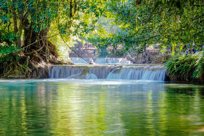 Scenic view of waterfall in forest