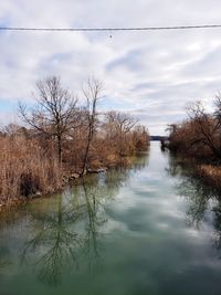 Bare tree by river against sky