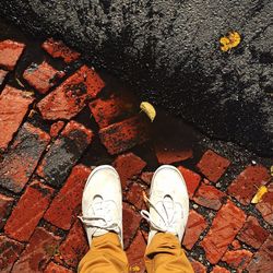 Low section of person standing on tiled floor