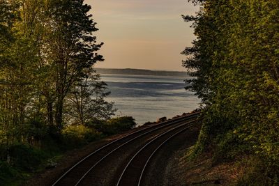 Railroad tracks by trees against sky during sunset