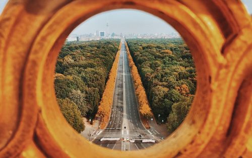 Road amidst trees seen from circular design