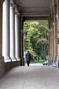 Rear view of man walking in colonnade