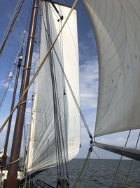 Low angle view of sailboat on sea against sky