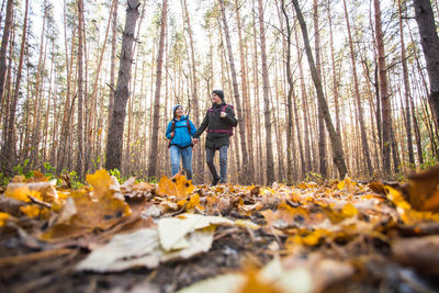 People walking on autumn leaves in forest