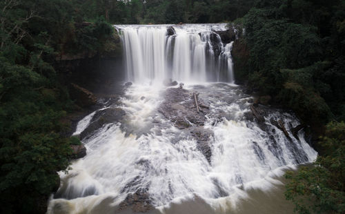 Scenic view of waterfall in forest