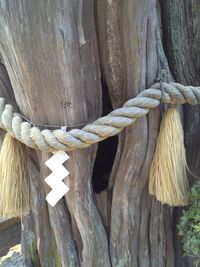 Close-up of rope tied on wooden post