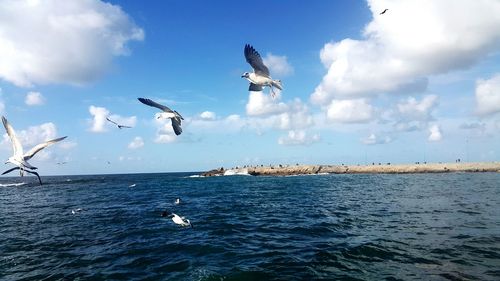 Seagulls flying over sea against sky