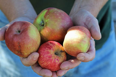 Close-up of person holding fruits