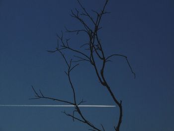 Low angle view of bare tree against sky