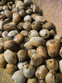 High angle view of dry coconuts