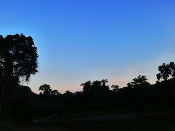 Silhouette trees against clear sky at sunset