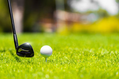 Golf ball on grass