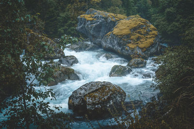 Scenic view of waterfall in forest