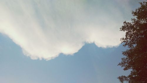 Low angle view of trees against cloudy sky