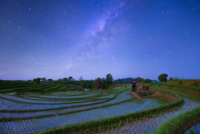 Beautiful view of rice fields and milkyway in the morning