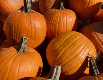 High angle view of pumpkins for sale at market