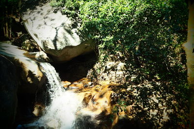Close-up of waterfall against trees