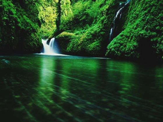 waterfall, flowing water, water, flowing, motion, beauty in nature, long exposure, scenics, forest, tree, nature, blurred motion, green color, tranquil scene, rock - object, idyllic, tranquility, moss, lush foliage, growth