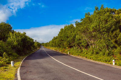 Empty road along trees and plants against sky