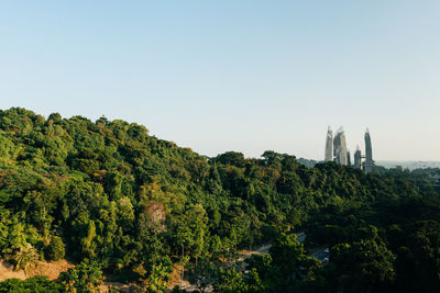 Aerial view of trees against sky