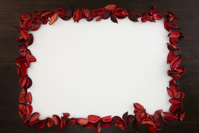 Directly above shot of red rose on table against white background