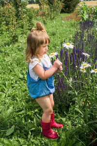 Rear view of woman on grassy field