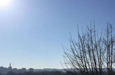 Low angle view of bare trees against clear blue sky