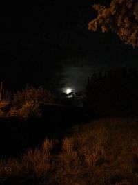 Trees on field against sky at night