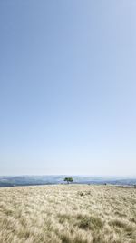 Scenic view of beach against clear sky