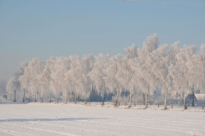 Winter time in the germanmuensterland