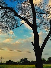 Silhouette bare tree against sky during sunset