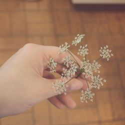 Cropped hand holding flowers at home