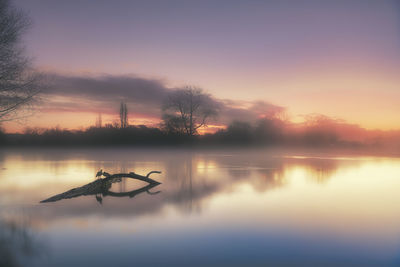 Silhouette trees by lake against sky during sunset