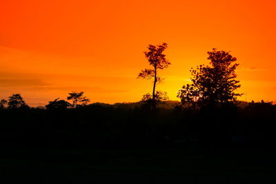 Silhouette trees on field against orange sky