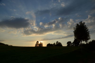 Silhouette trees on landscape at sunset