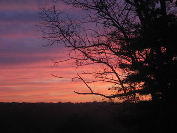 Silhouette trees against sky during sunset