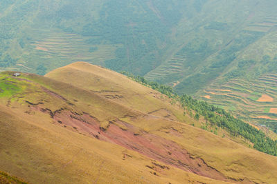 High angle view of agricultural field