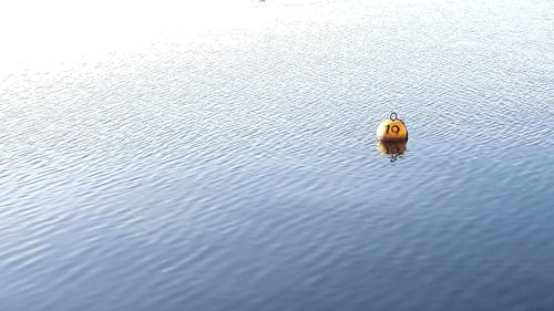 Close-up of buoy on water