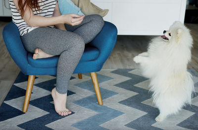 Low section of woman sitting on chair with dog at home