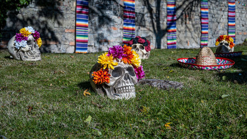 View of flowering plants at cemetery