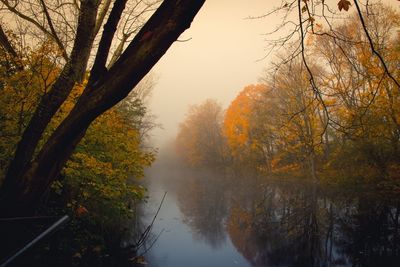 Scenic view of lake in forest during sunset