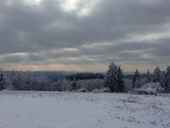 Trees on snow covered field against cloudy sky during sunset