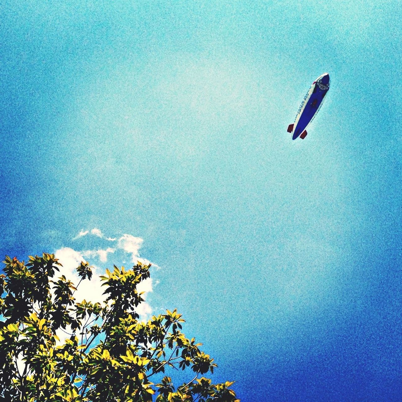 flying, low angle view, blue, mid-air, tree, transportation, clear sky, sky, nature, day, copy space, outdoors, beauty in nature, tranquility, no people, mode of transport, airplane, scenics, air vehicle, growth