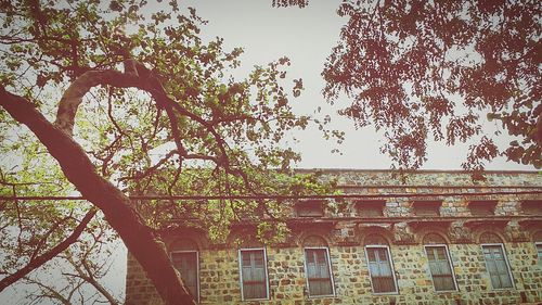 Low angle view of historical building