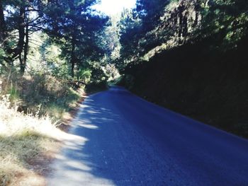 Road amidst trees in forest