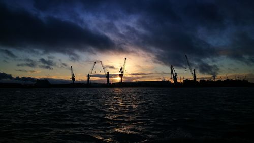 Silhouette of cranes at sunset